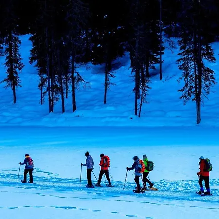 Cristallo, A Luxury Collection & Spa, Cortina D 'ampezzo מלון 5*